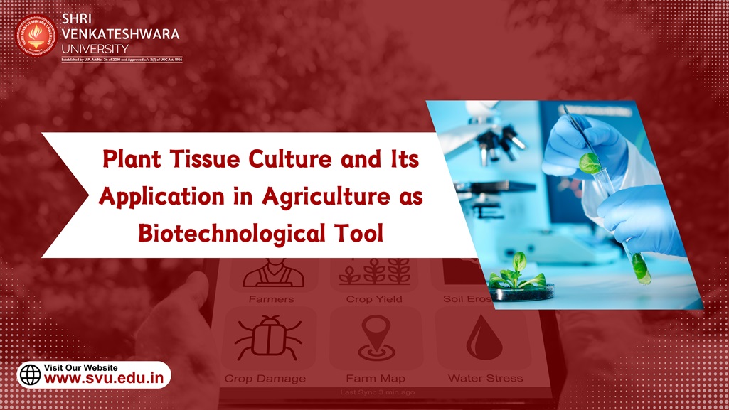 Plant Tissue Culture and Its Application in Agriculture as Biotechnological Tool