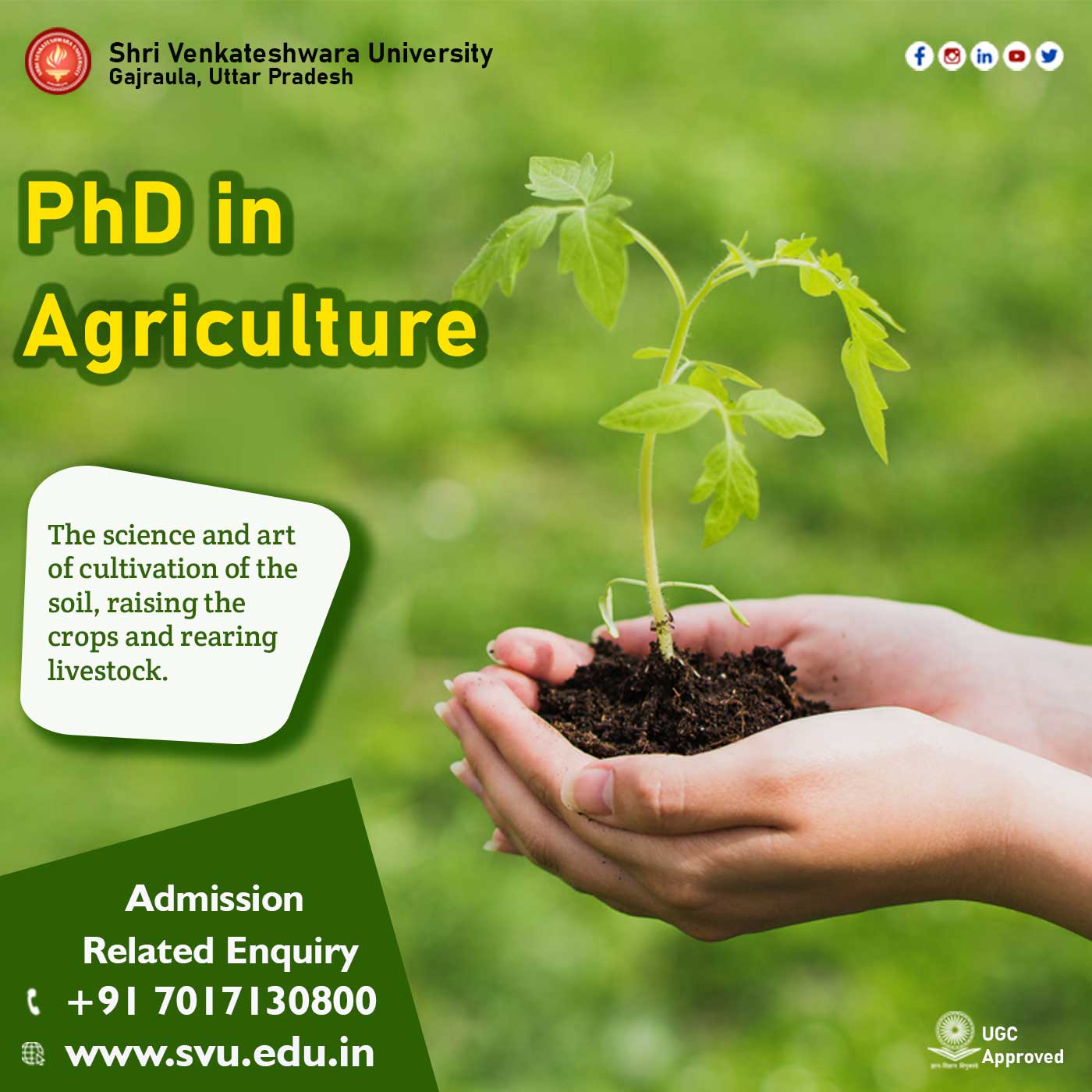 Ph.D Agriculture